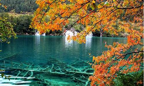 九寨沟景区必玩景点_九寨沟景区必玩景点有哪些