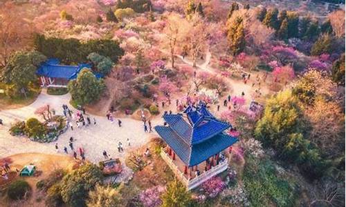 南京梅花山要门票吗_南京梅花山要门票吗?