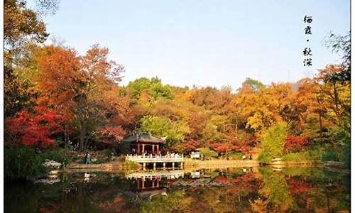 南京栖霞山风景区旅游攻略_南京栖霞山风景区旅游攻略一日游