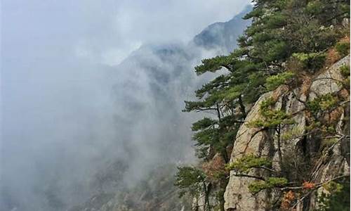 天堂寨风景区攻略_天堂寨风景区攻略路线