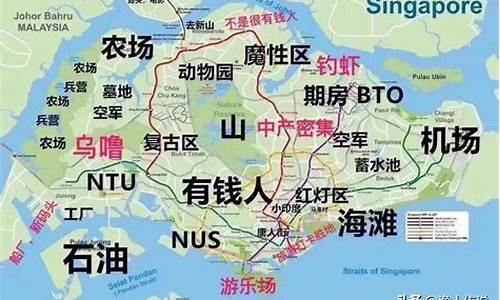 新加坡为什么华人多_新加坡为什么华人多简单描述